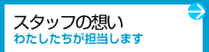 X^bt̑z